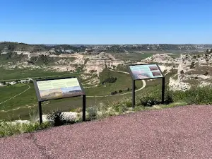 Fowler Forest Preserve