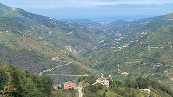 Arakli
