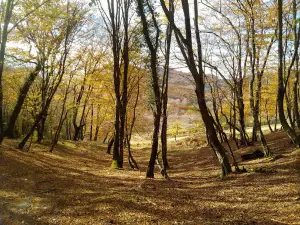 Каткова Щель