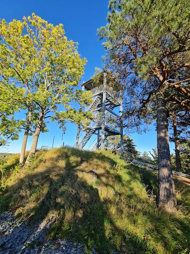 Kungstornet