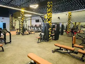 V_fitness
