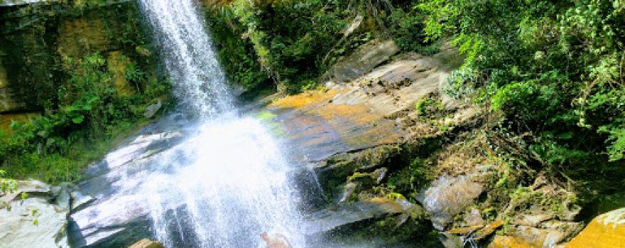 Falls the waterfall 15