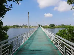 Mirador De Cocodrilos, Laguna Del Carpintero