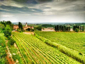Panchina Gigante #41 Rosso Grignolino Rosignano Monferrato