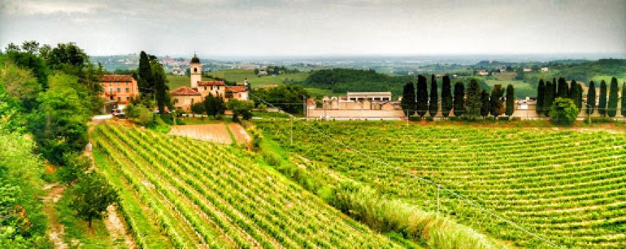 Panchina Gigante #41 Rosso Grignolino Rosignano Monferrato