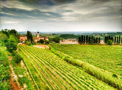 Panchina Gigante #41 Rosso Grignolino Rosignano Monferrato
