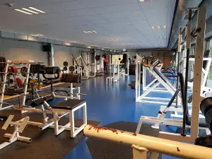 Vendiahallen