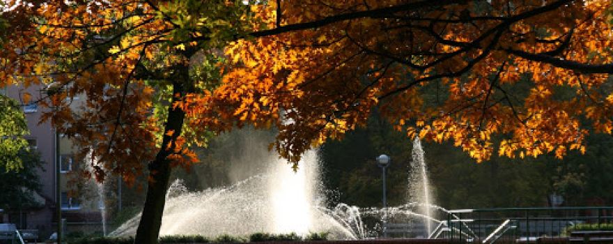 Park of Culture and Recreation