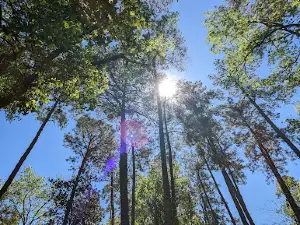 McKey Park