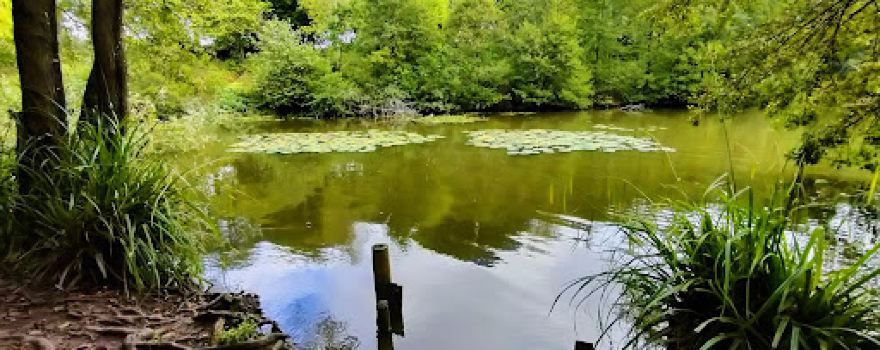Salt Line and Borrow Pit Meadows