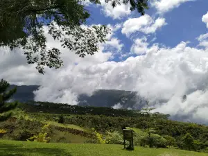 Matampa Pine Trees Park