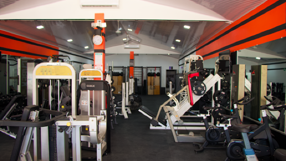 THE GYM