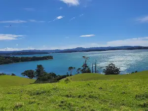 Martins Bay Holiday Park