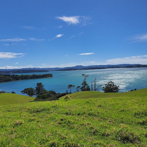Martins Bay Holiday Park