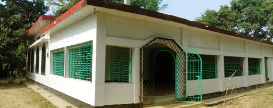 Dhamghar Mollabari Jame Masjid