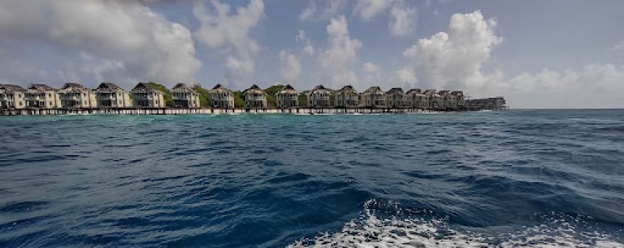 Alidhoo
