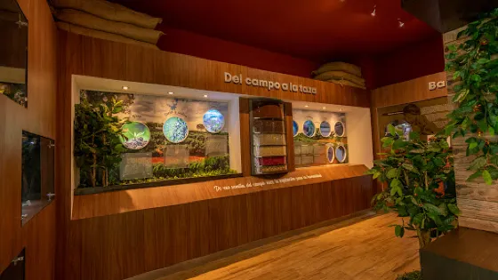 Museo del Café