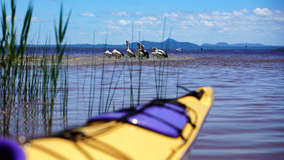 Kanu Kapers Australia