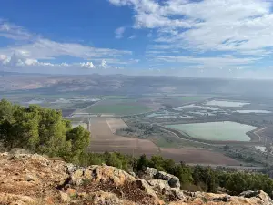 טרקטורוני דישון בע"מ