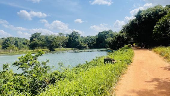 Thalkote Lake View Point Sigiriya