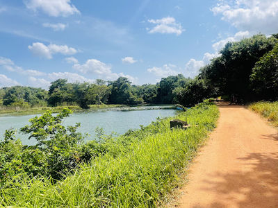 Thalkote Lake View Point Sigiriya
