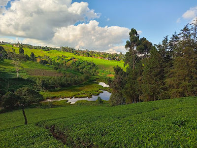 Burudani adventure park