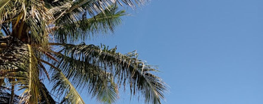 Praia das eguas