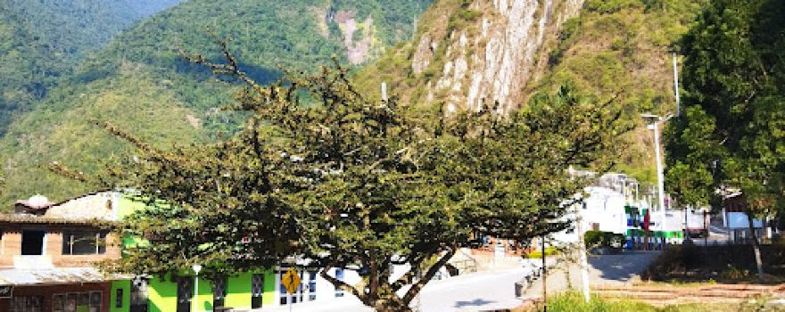 Parque Municipal