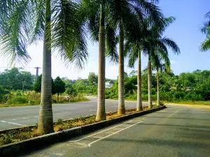 Đền Chu Hưng