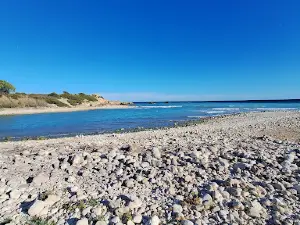 Oasi Gelsomineto