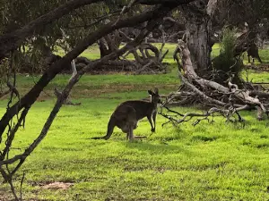 HJ Cook Fauna Park