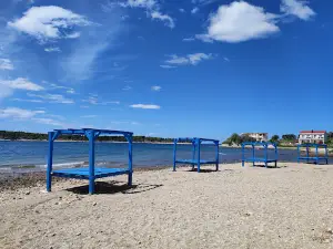 Monty's Dog Beach & Bar