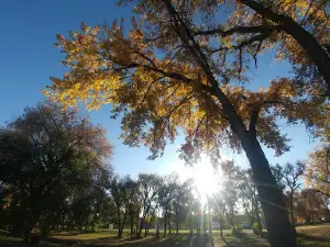 Widefield Community Park