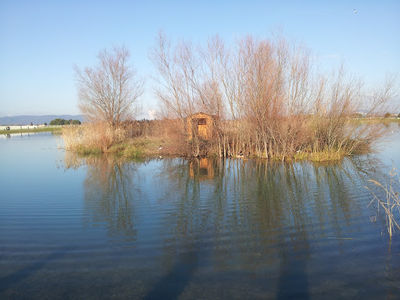 Lac de Pierrelatte