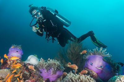 Manta Tribe Maldives - Tauchzentrum