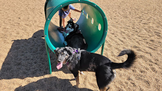 Platteville Dog Park