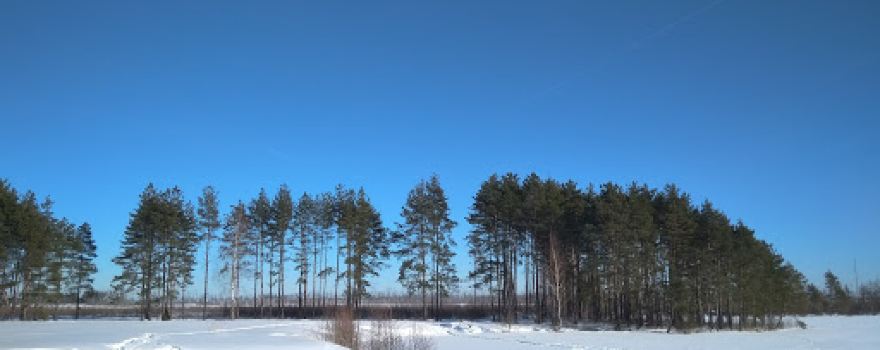 lake Puresh