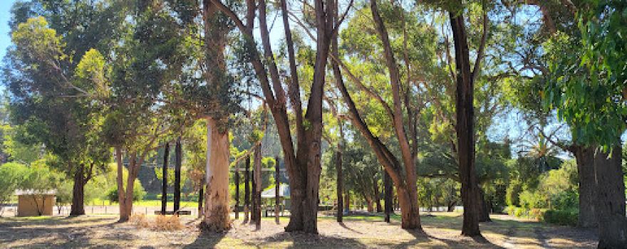 Pioneer Park