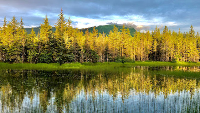 Mendenhall Campground