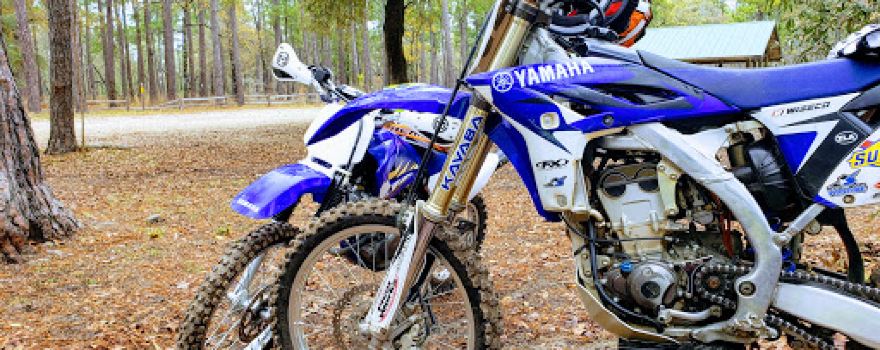 Wambaw Cycle Trail Head
