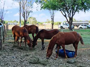 Parque De Exposições De Aquidauana