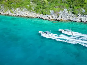Ocean Runner Powerboat Rentals