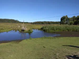El Paraíso