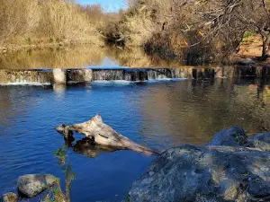Foster Park