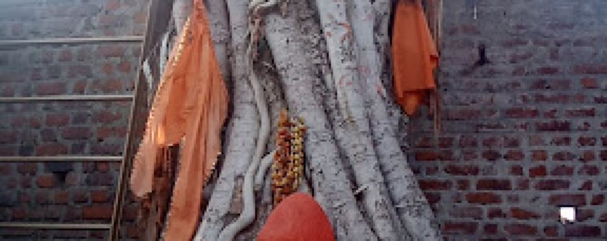 Shri Ram Mandir
