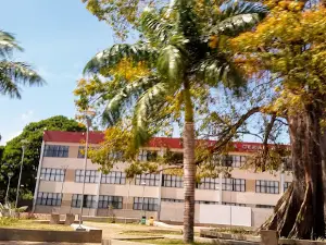 Praça Samaúma