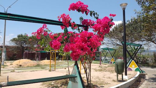 Aviación Park