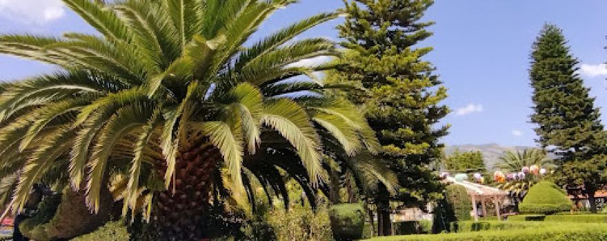 Tobasía Main Park