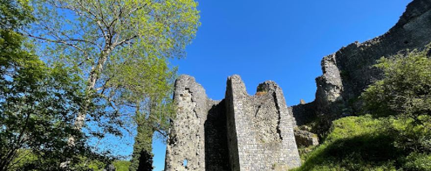 Les Ruines du Château de Montaigle