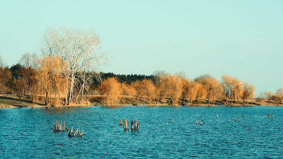Lake Tresetište